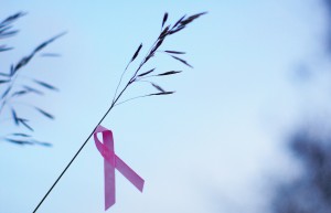 Over half a million women worldwide die of breast cancer per year.